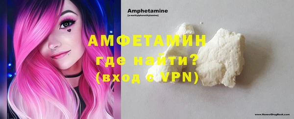 индика Вязьма