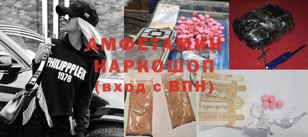 индика Вязьма
