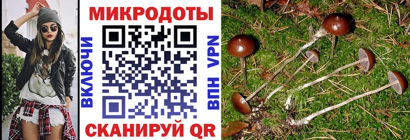Псилоцибиновые грибы мухоморы  Верхний Тагил 